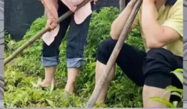 吃瓜群众的娱乐八卦,明星秘闻大揭秘