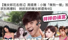 娱乐圈吃瓜论坛是谁的,揭秘“是谁”背后的真相与传闻