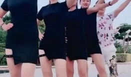 吃瓜娱乐女,揭秘娱乐圈背后的故事与八卦